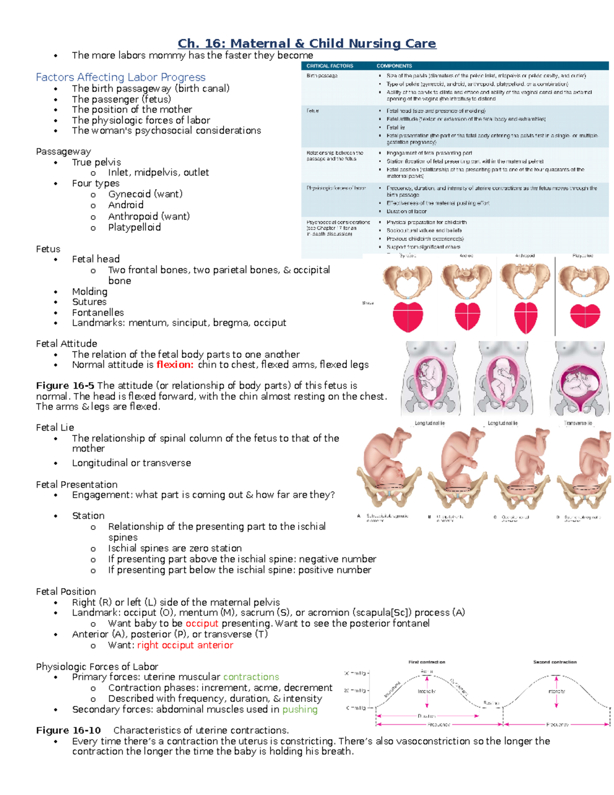 Exam 3 Notes - N/A - Ch. 16: Maternal & Child Nursing Care The more ...