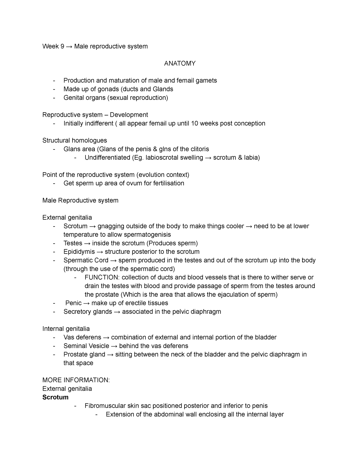 MEDS2005 - week 9-10 Anatomy Notes - Week 9 → Male reproductive system ...