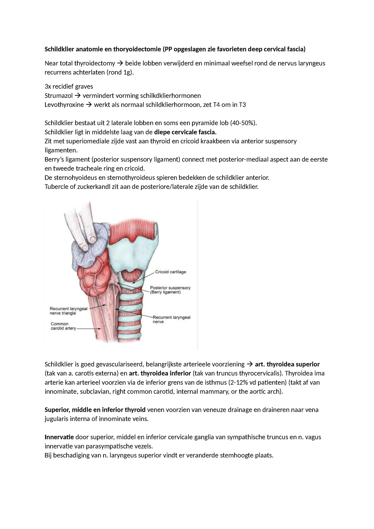 Schildklier anatomie en thoryoidectomie - 3x recidief graves Strumazol ...