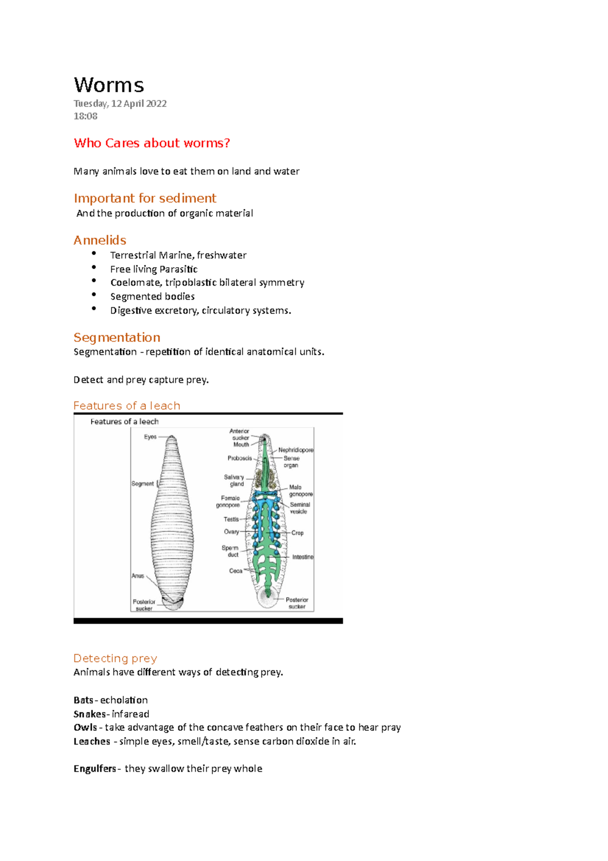 Worms Bs1007 - Worms Tuesday, 12 April 202218: Who Cares About Worms ...