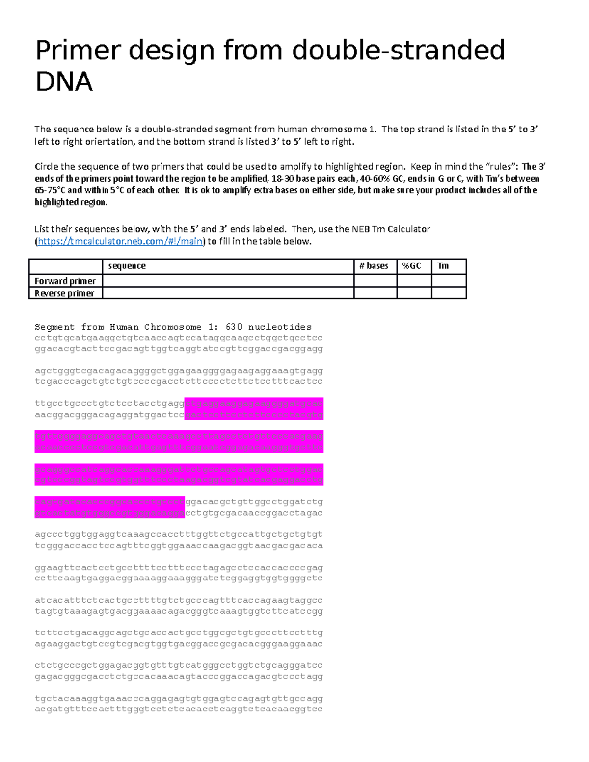 Primer design from double strand DNA Primer design from double