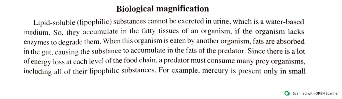 biological magnification essay