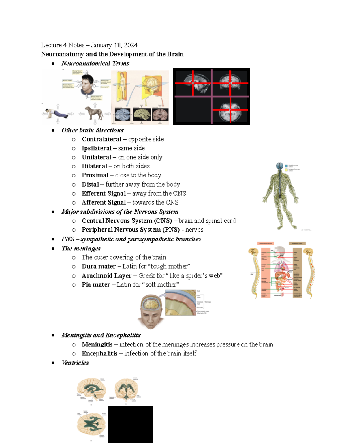 PSYC 2360 lecture 4 notes - Lecture 4 Notes – January 18 , 2024 ...