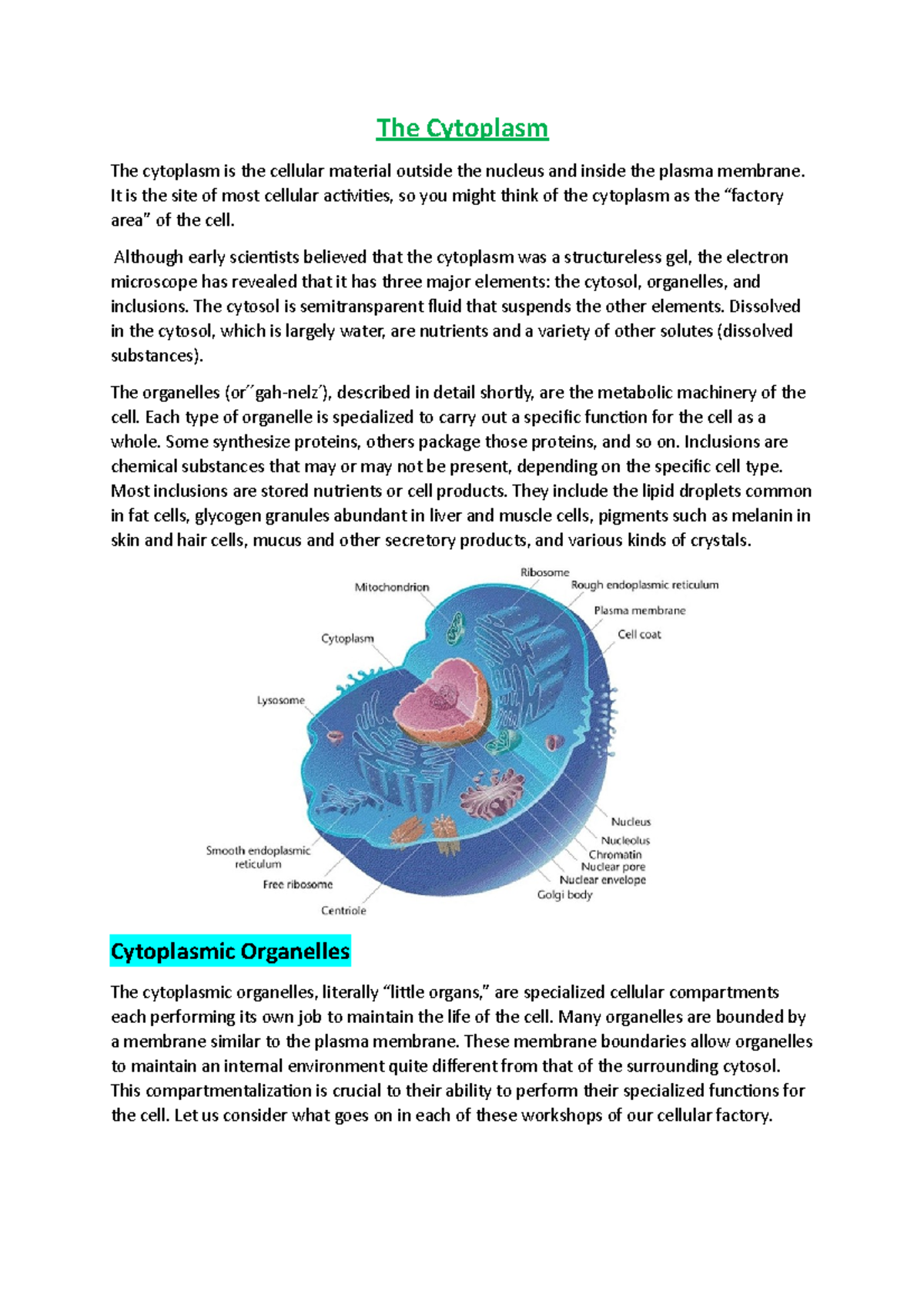The Cytoplasm - The Cytoplasm The cytoplasm is the cellular material ...
