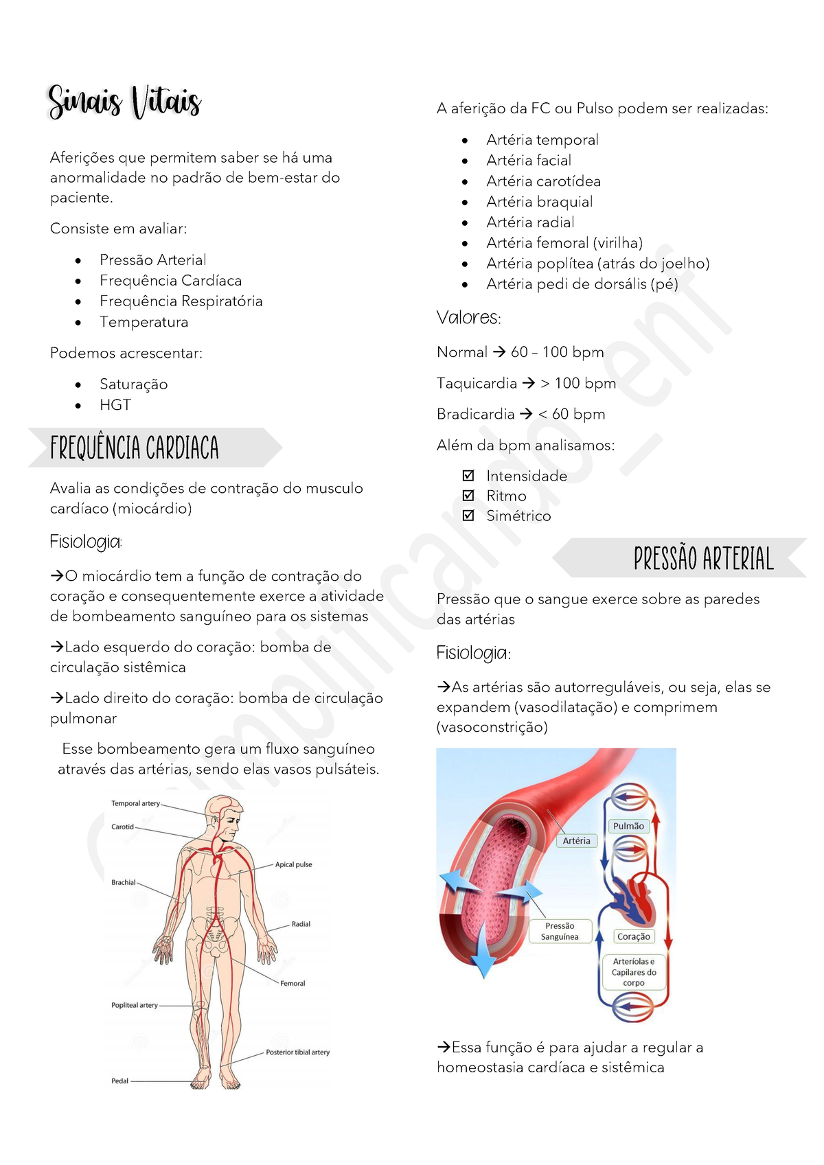 Sinais Vitais Semiologia Em Enfermagem Enfermagem Unisagrado Sinais Vitais Aferições Que 6404