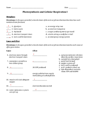 Diffusion and Osmosis Worksheet sovspg - Diffusion and Osmosis ...