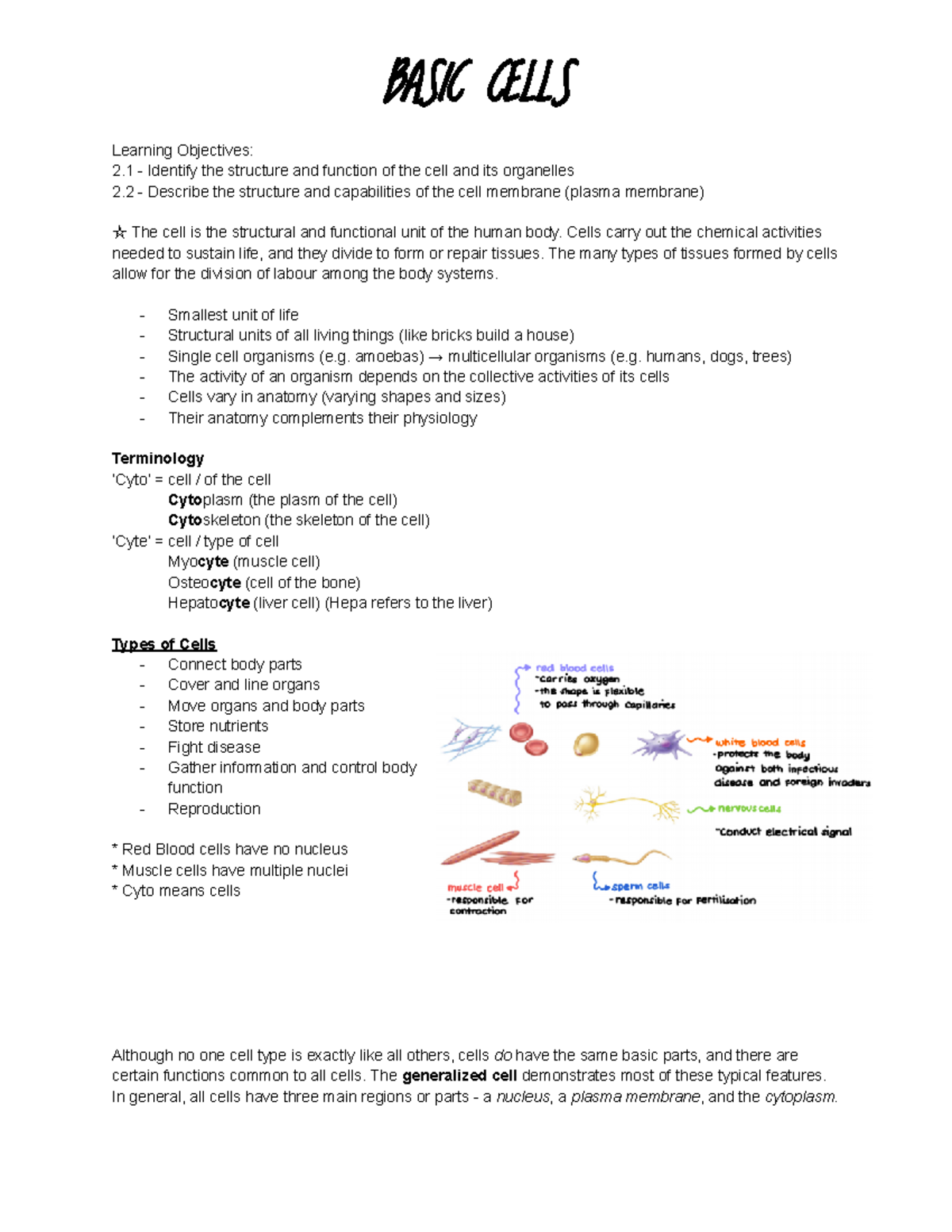 Basic Cells - WEEK 1 (Human Anatomy & Physiology 1) - BASIC CELLS ...