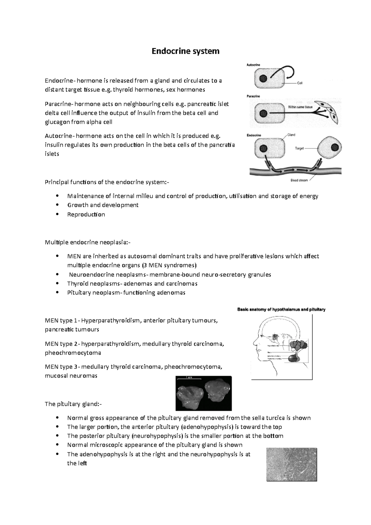 lecture 3 notes - Endocrine system Endocrine- hormone is released from ...
