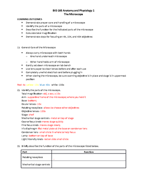 BIO 168 The Microscope (updated Spring 2019 ) - BIO 168 Anatomy And ...