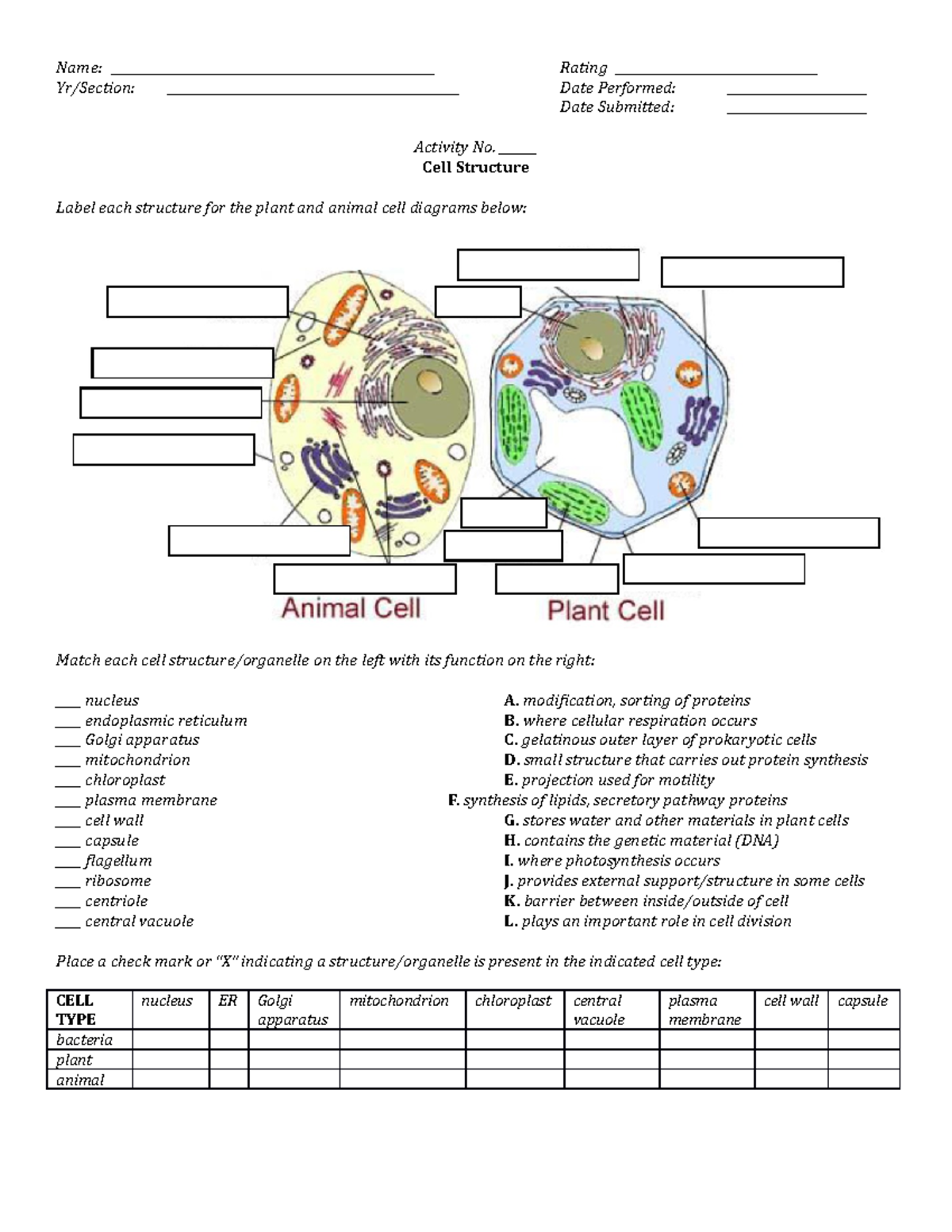 Escercise 2: Plant and Animal Cell and its Cell Structure - BS Biology ...