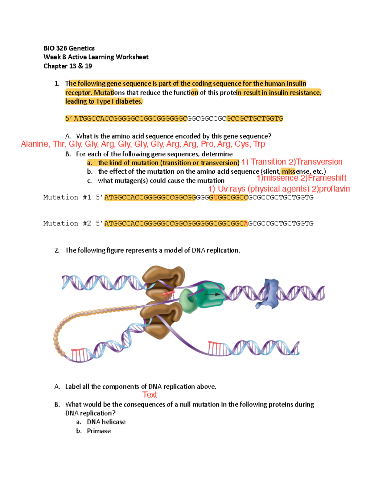 BIO 326 Genetics Week 8 AL worksheet - BIO 326 Genetics Week 8