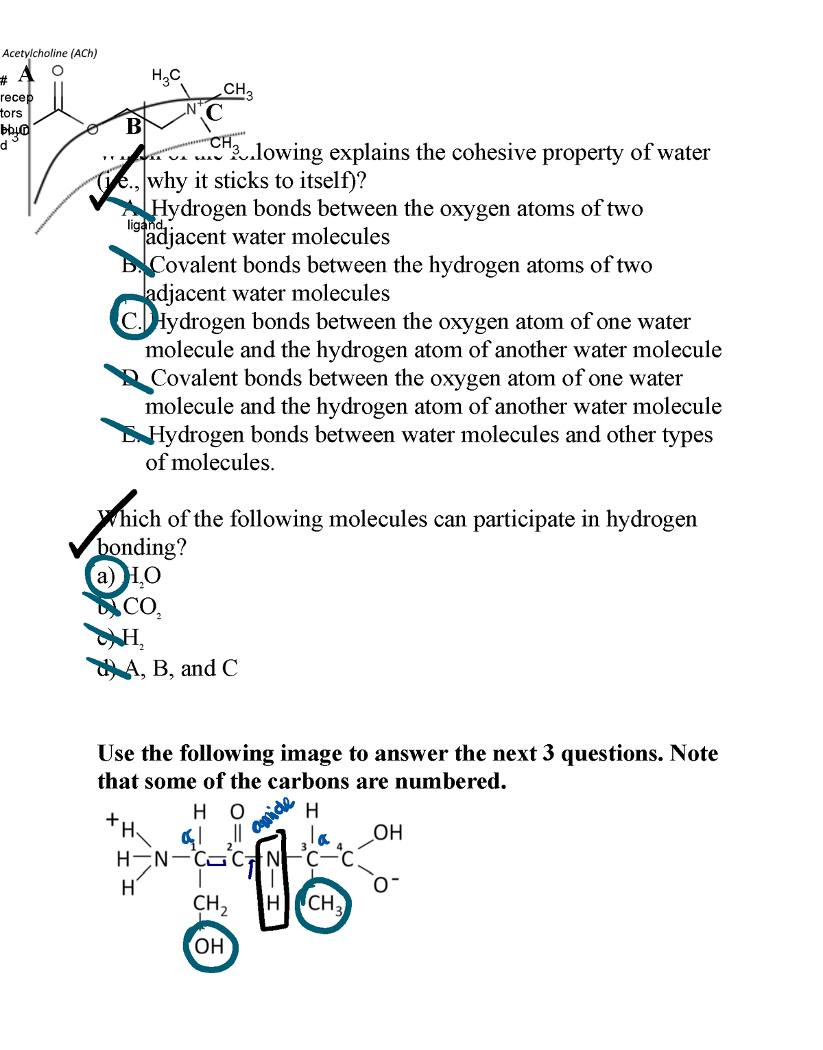 Unit 2 practice questions Which of the following explains the