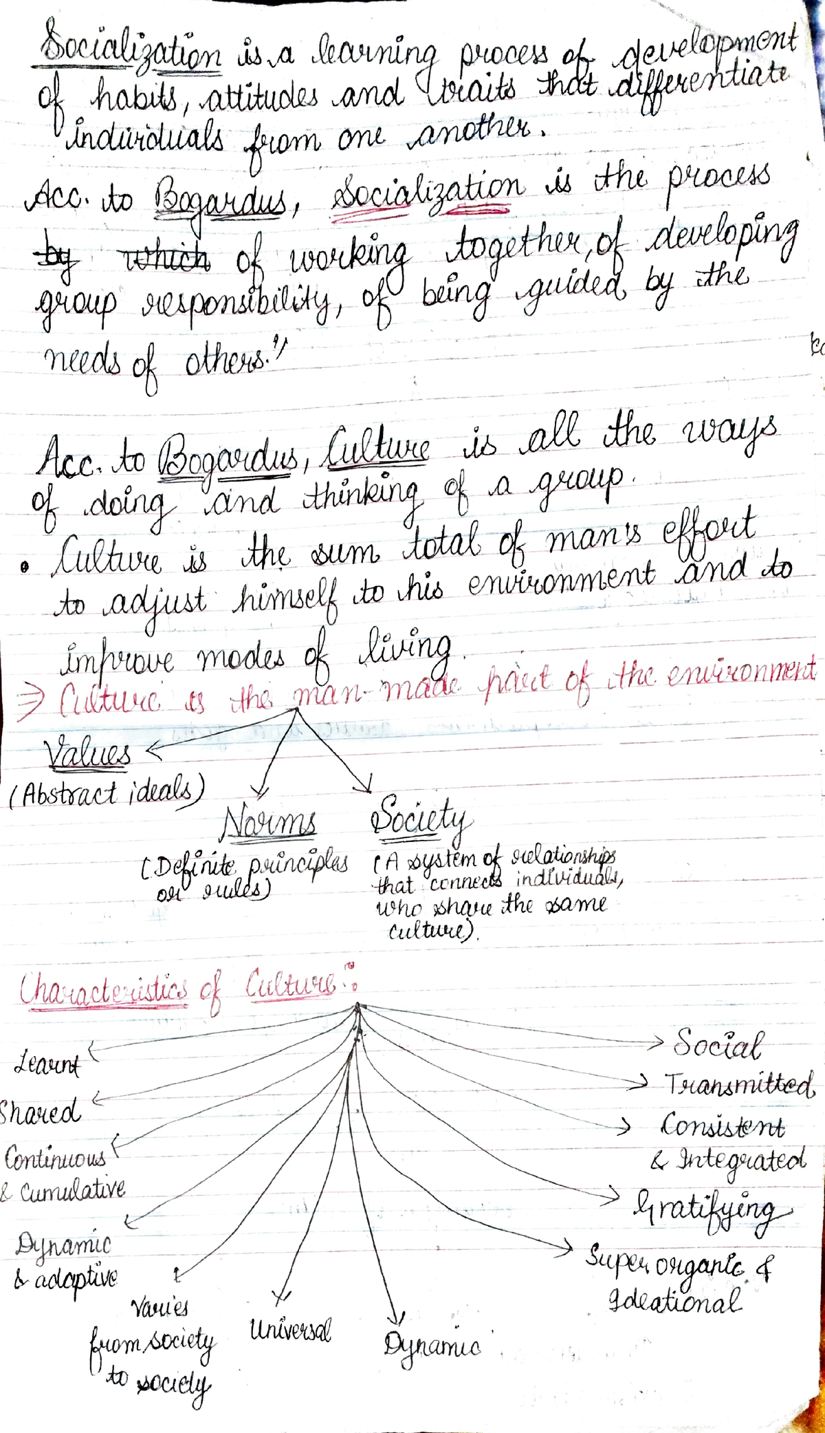 Sociology Notes BSCN 1st Year - Medic - Studocu