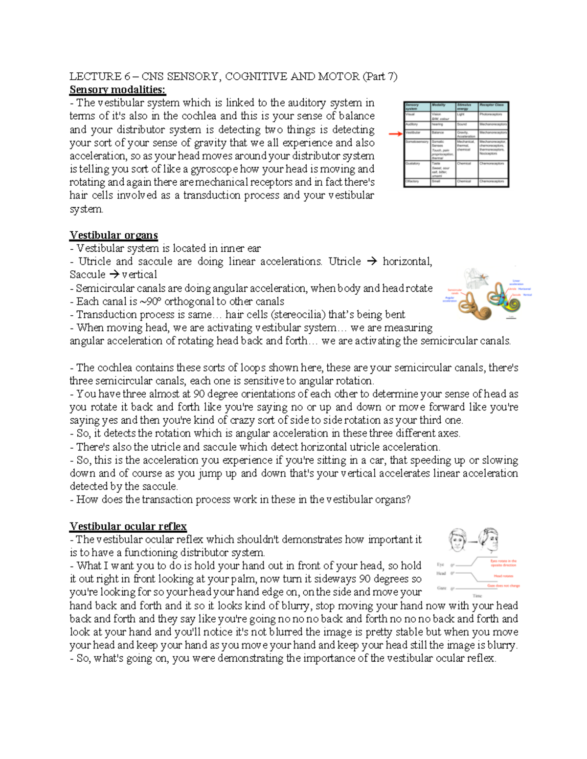 Lecture 6 – CNS Sensory, Cognitive AND Motor (Part 8) - LECTURE 6 – CNS ...