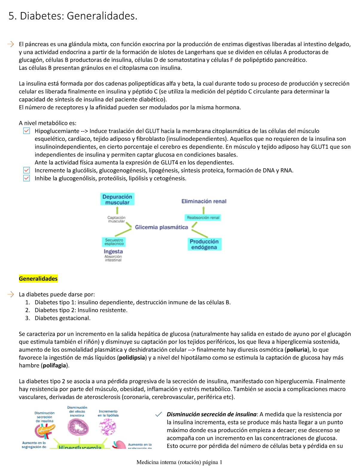 5. Diabetes Generalidades - El P·ncreas Es Una Gl·ndula Mixta, Con ...