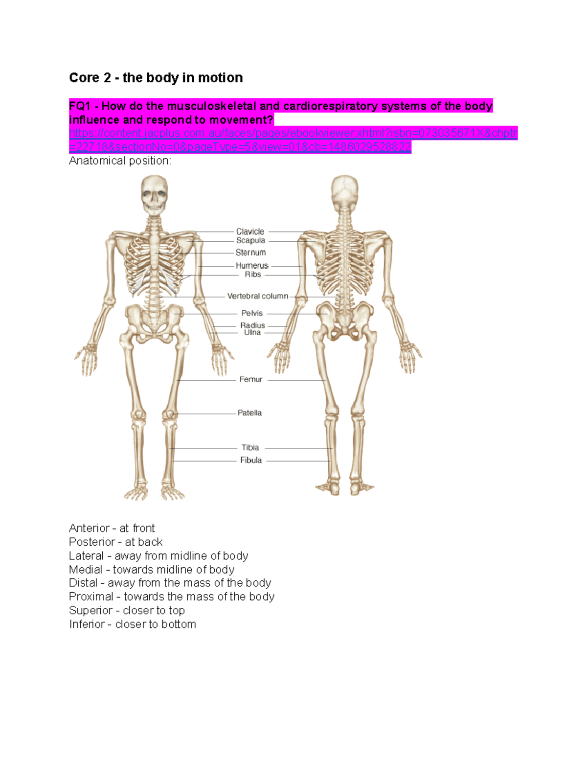 CORE 2 the body in motion - Study Notes - Core 2 - the body in motion ...