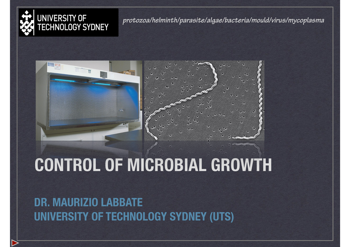 Week 5 Lecture Slides (High Res) - protozoa/helminth/parasite/algae ...