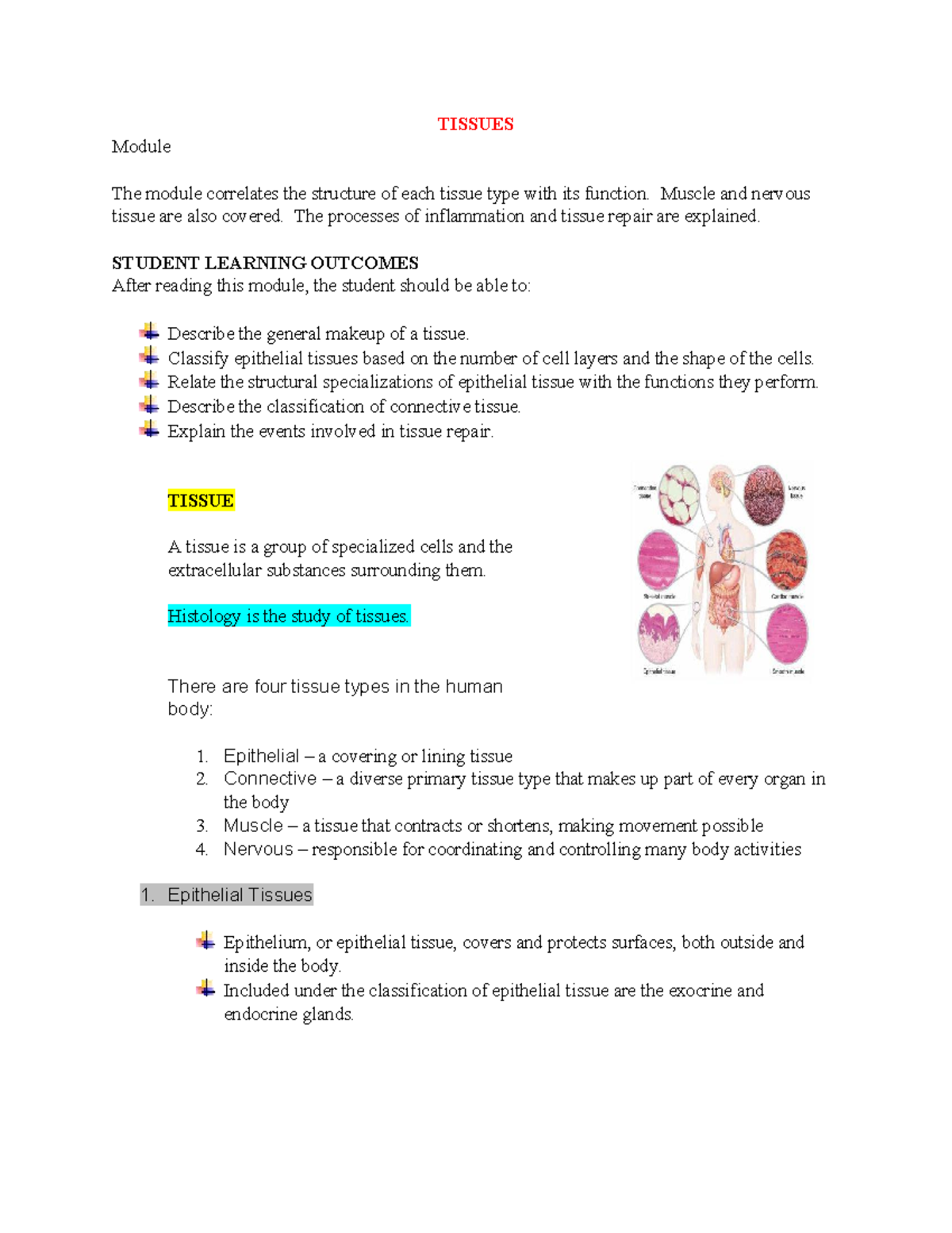 Drag Each Tissue Type To Its Correct Location - 0foaie9