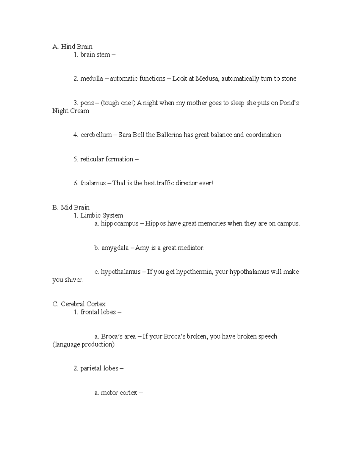 Structure And Function Of The Brain Worksheet