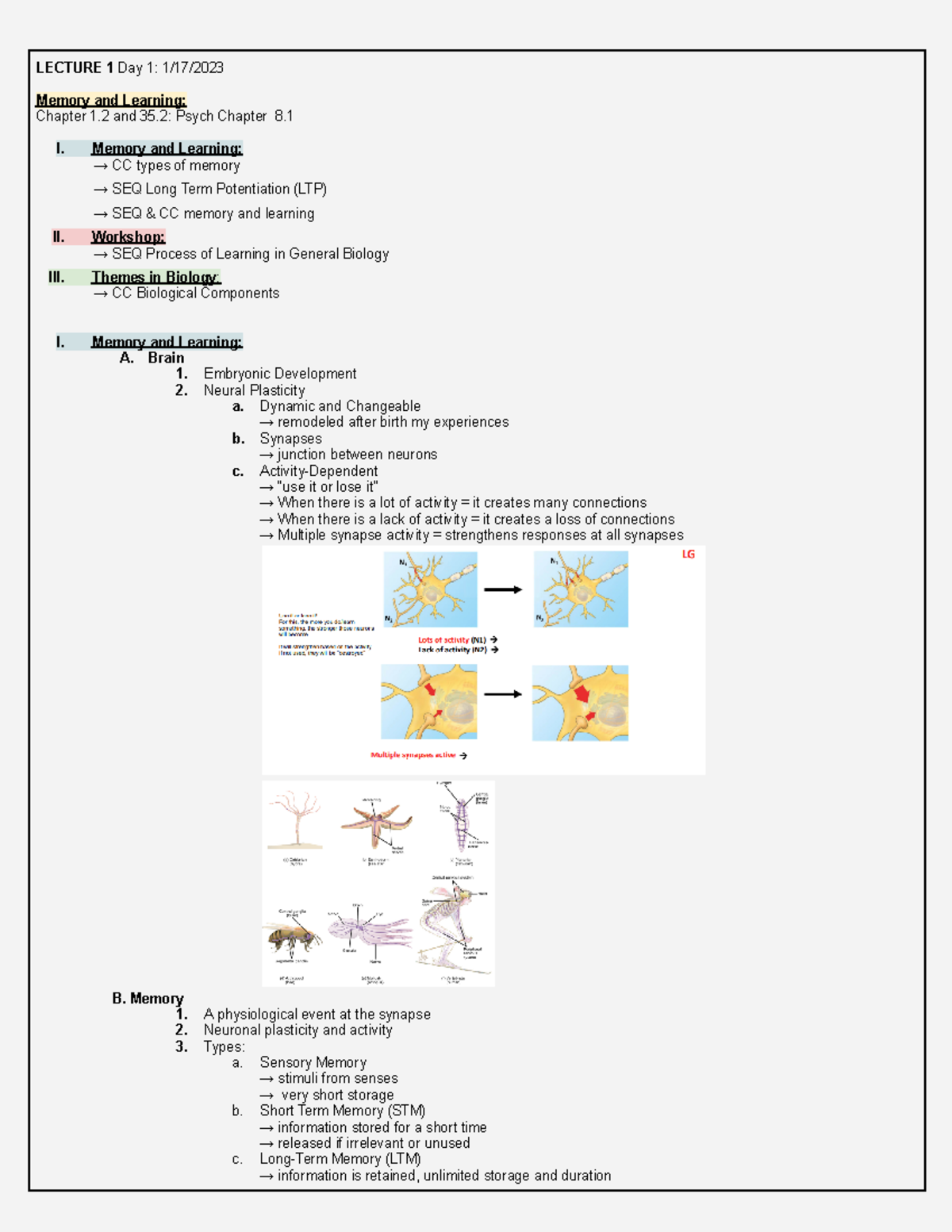 Lecture 1 Bio 115 - LECTURE 1 Day 1: 1/17/ Memory And Learning: Chapter ...