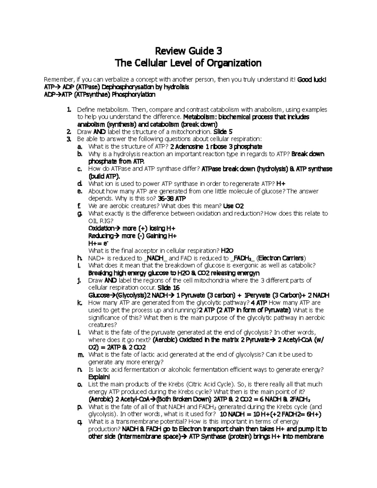 review-guide-3-the-cellular-level-of-organization-review-guide-3-the