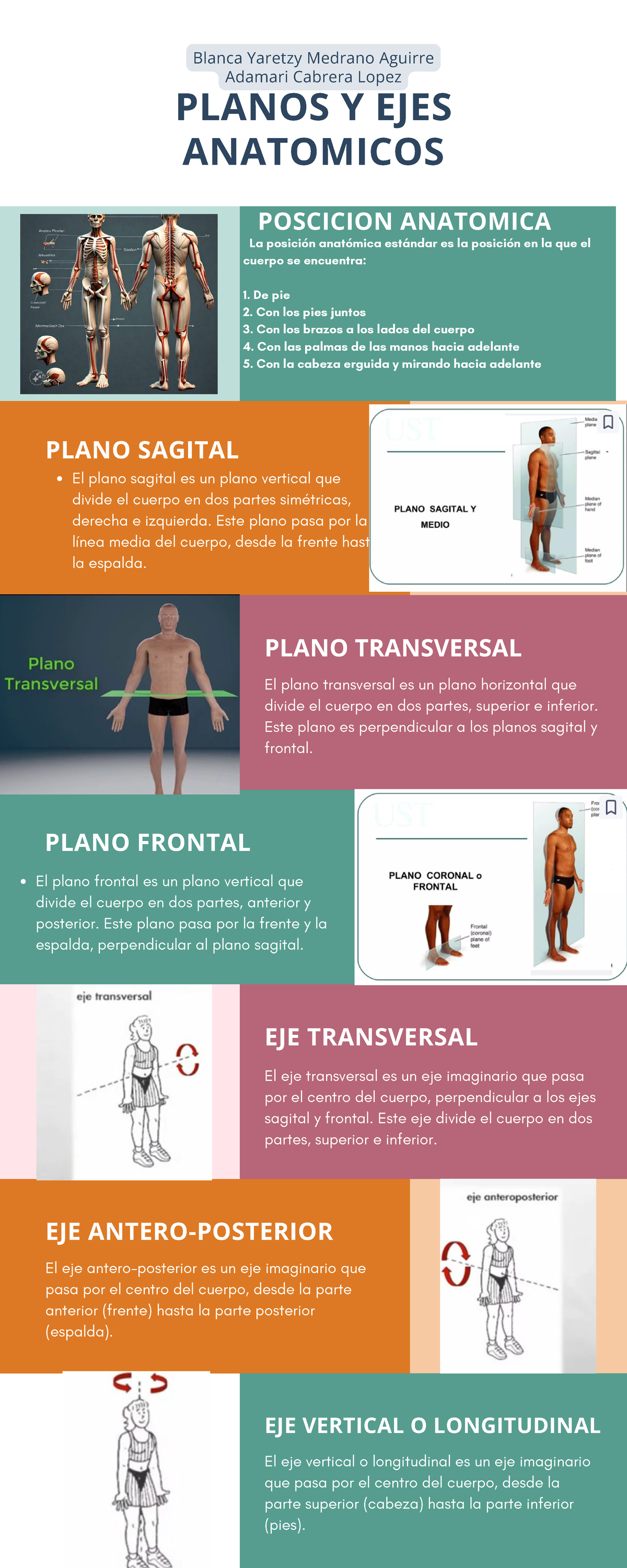 Infograf a Sistema INFOGRAFIA PLANOS Y EJES ANATOMICOS La Posici n 