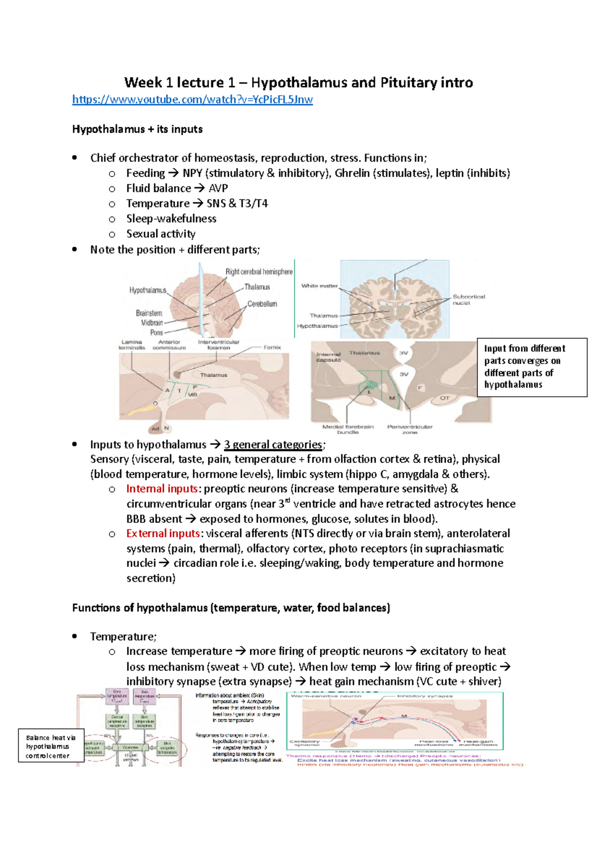 Week 1 - Lecture notes week1 - Week 1 lecture 1 – Hypothalamus and ...