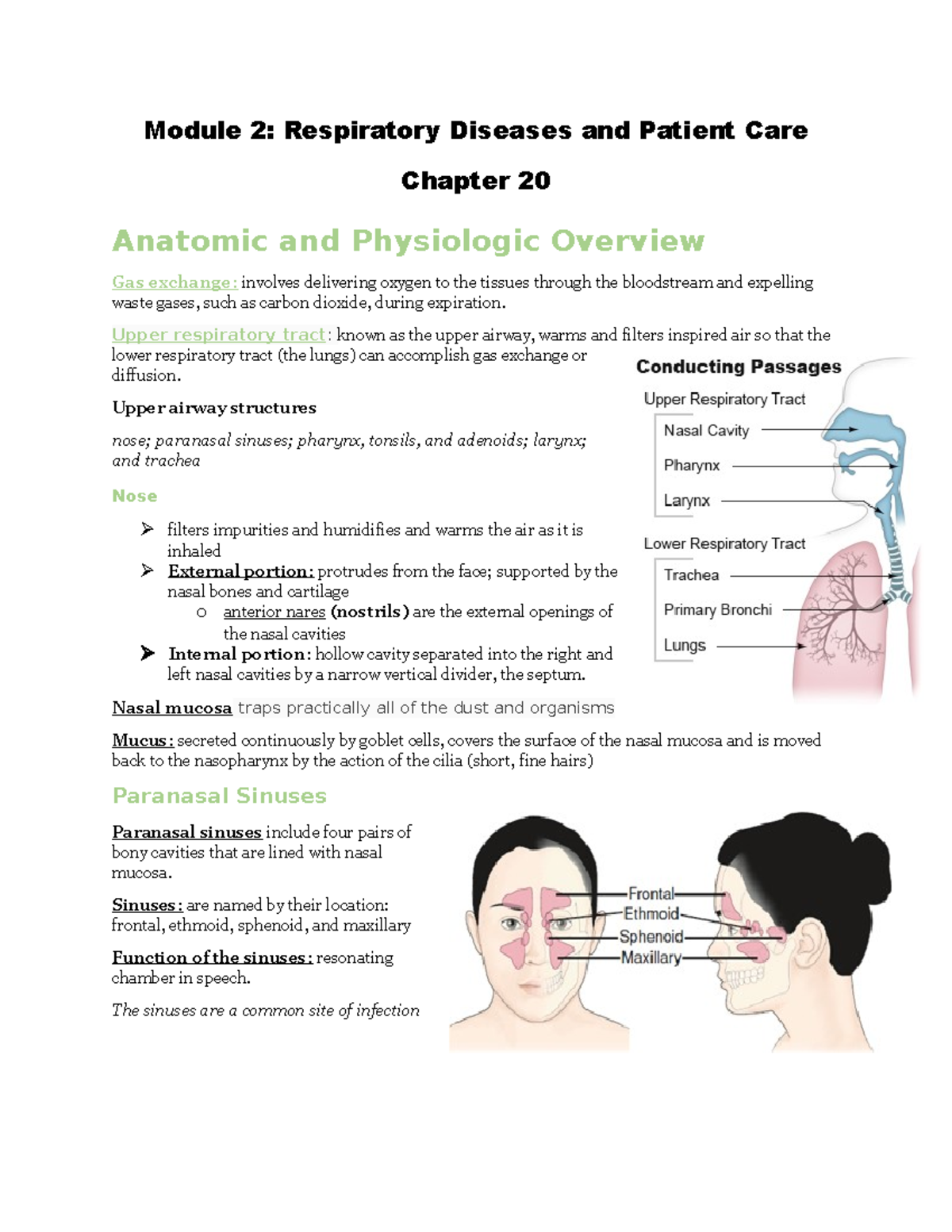 Module 2 Respiratory Diseases and Patient Care - Upper respiratory ...