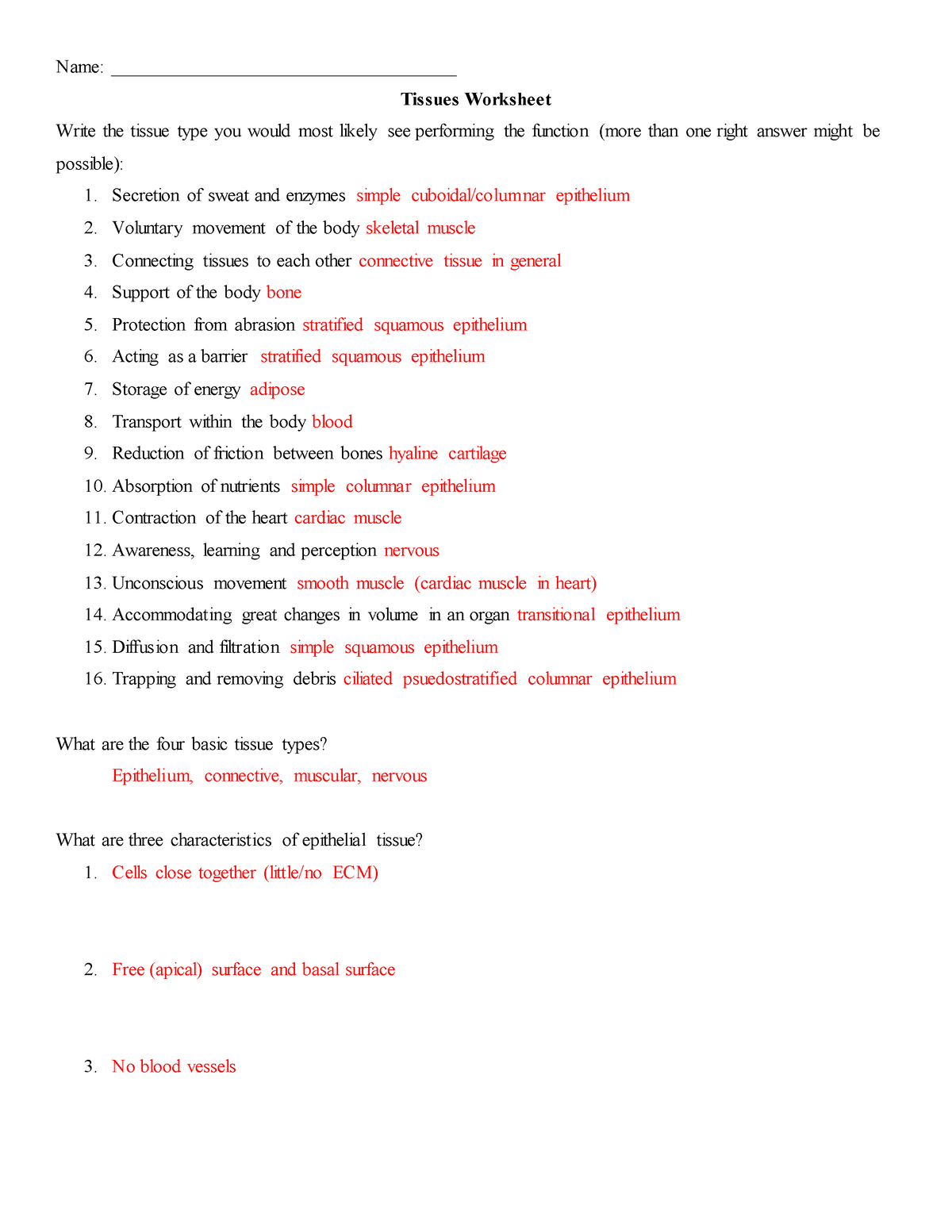 tissue-worksheet-161-key-name-tissues-worksheet-write