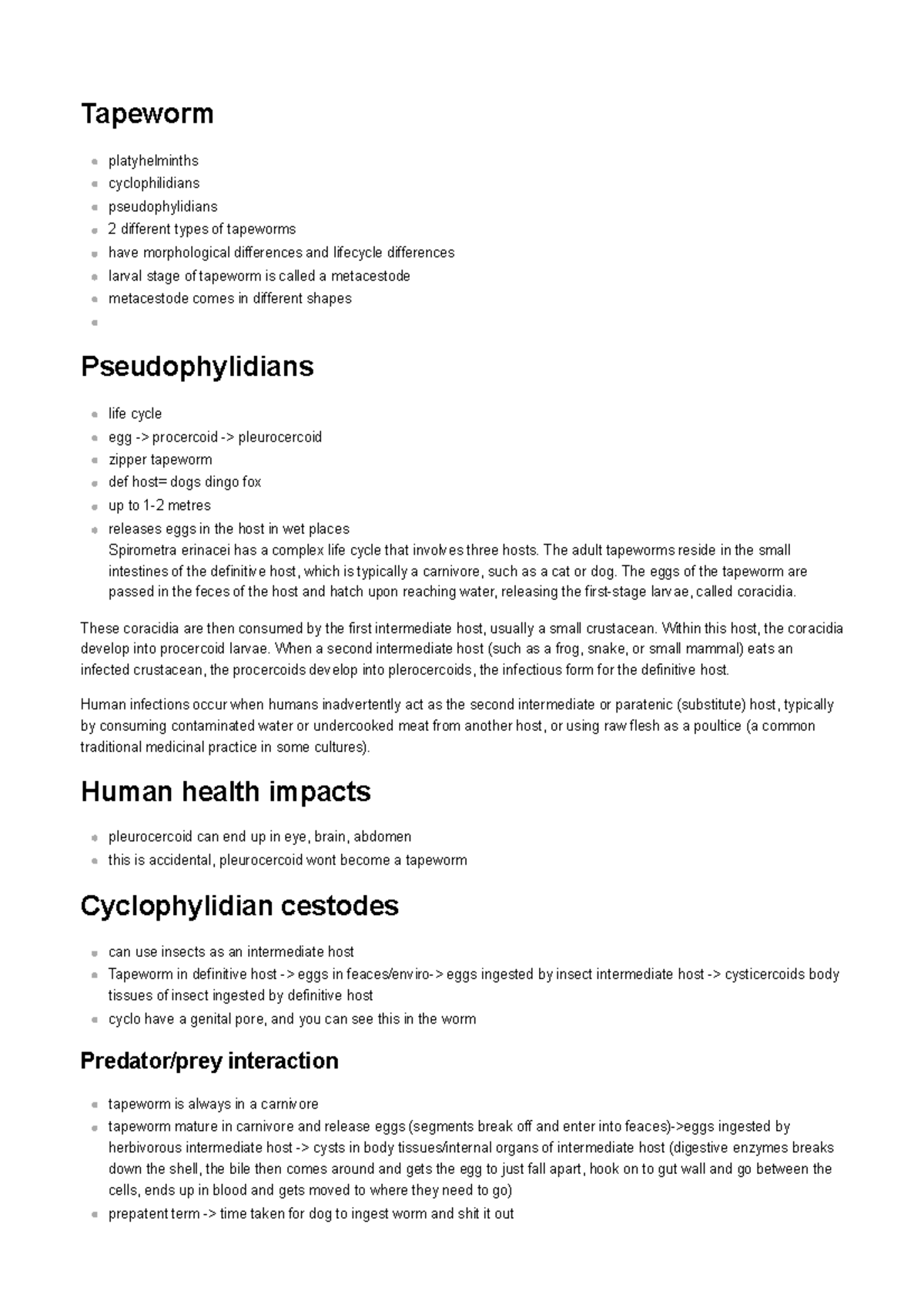 HelminthsTapeworm Tapeworm platyhelminths cyclophilidians