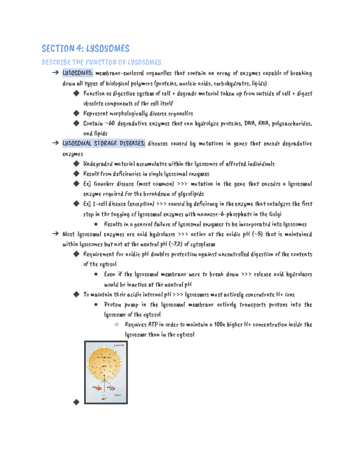 Chapter 12 - Protein Sorting and Transport - SEãäĂăN 4: Ċ󰀄SOëĄćàS ...