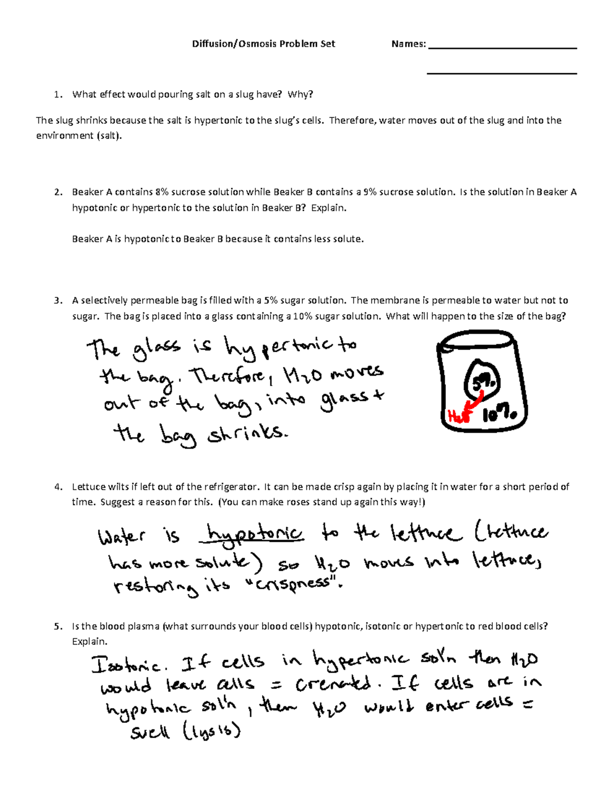 Osmosis Practice Problems Key - Diffusion/Osmosis Problem Set Names ...