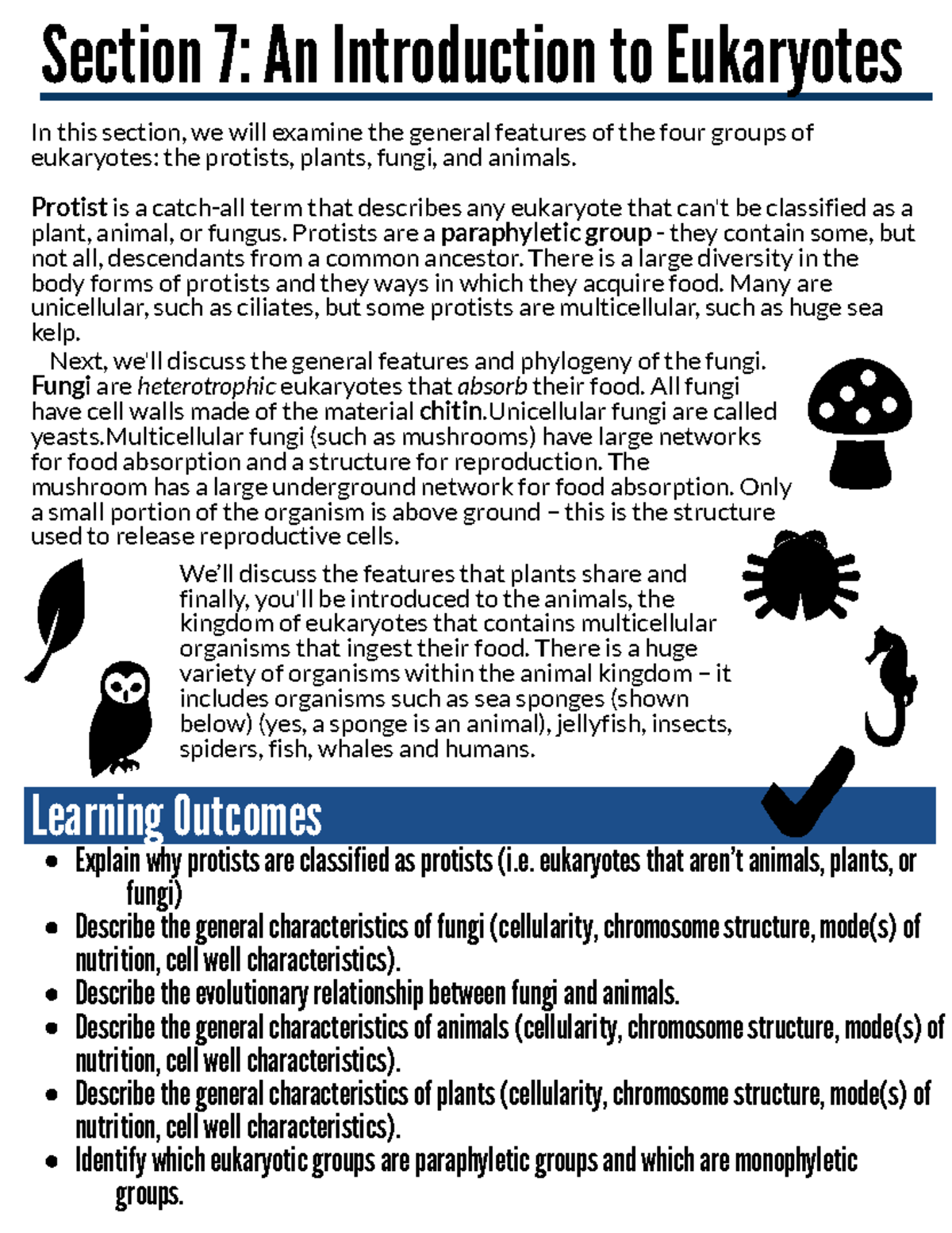 Section+7 - Notes - 6HFWLRQ $Q ,QWURGXFWLRQ WR (XNDU\RWHV - Studocu