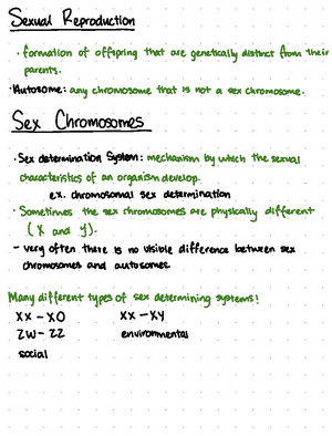 Mendelian Genetics I Monohybrid - MendelianGeneticsonohybrid ...