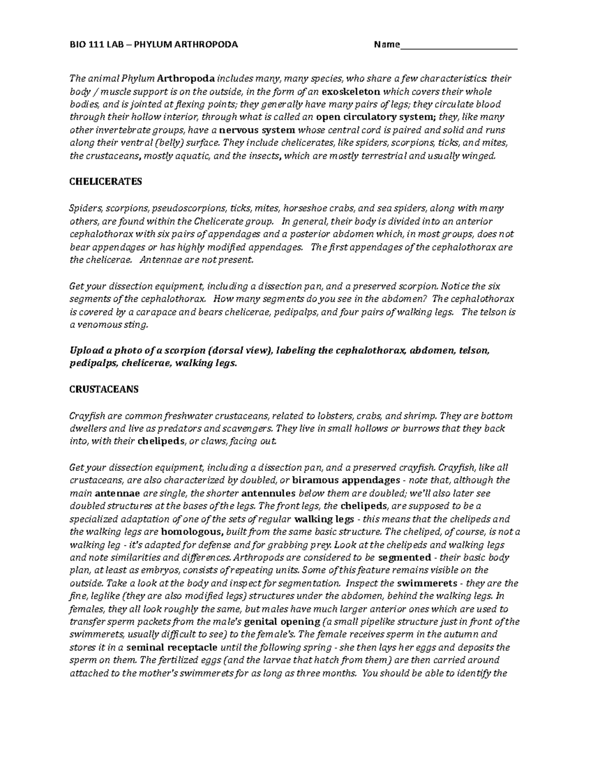 Lab 9 on Arthropoda - The animal Phylum Arthropoda includes many, many ...