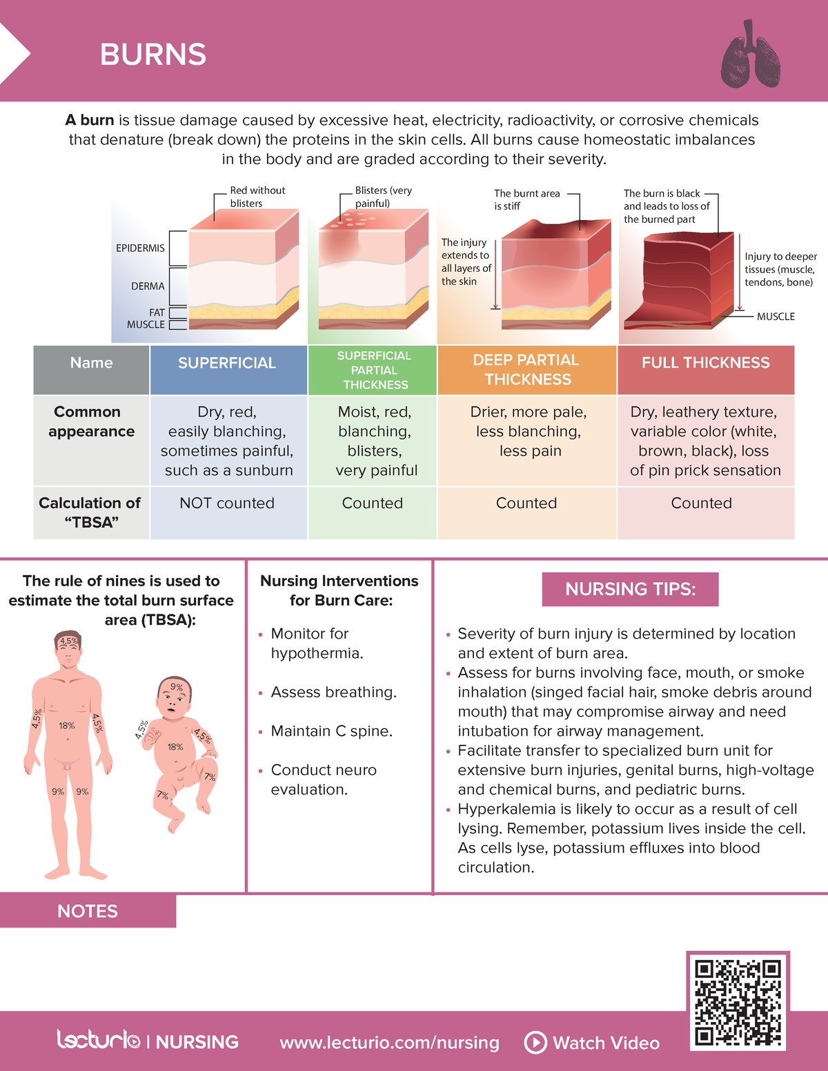 Lecturi Nursing Burns - Lecturio/nursing Watch Video NOTES BURNS A Burn ...