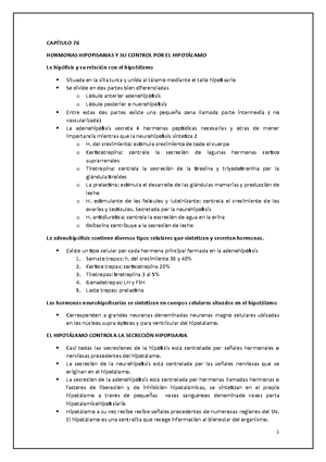 Fisiopatología - Neurona Y Funciones Sinápticas - Procesamiento De La 