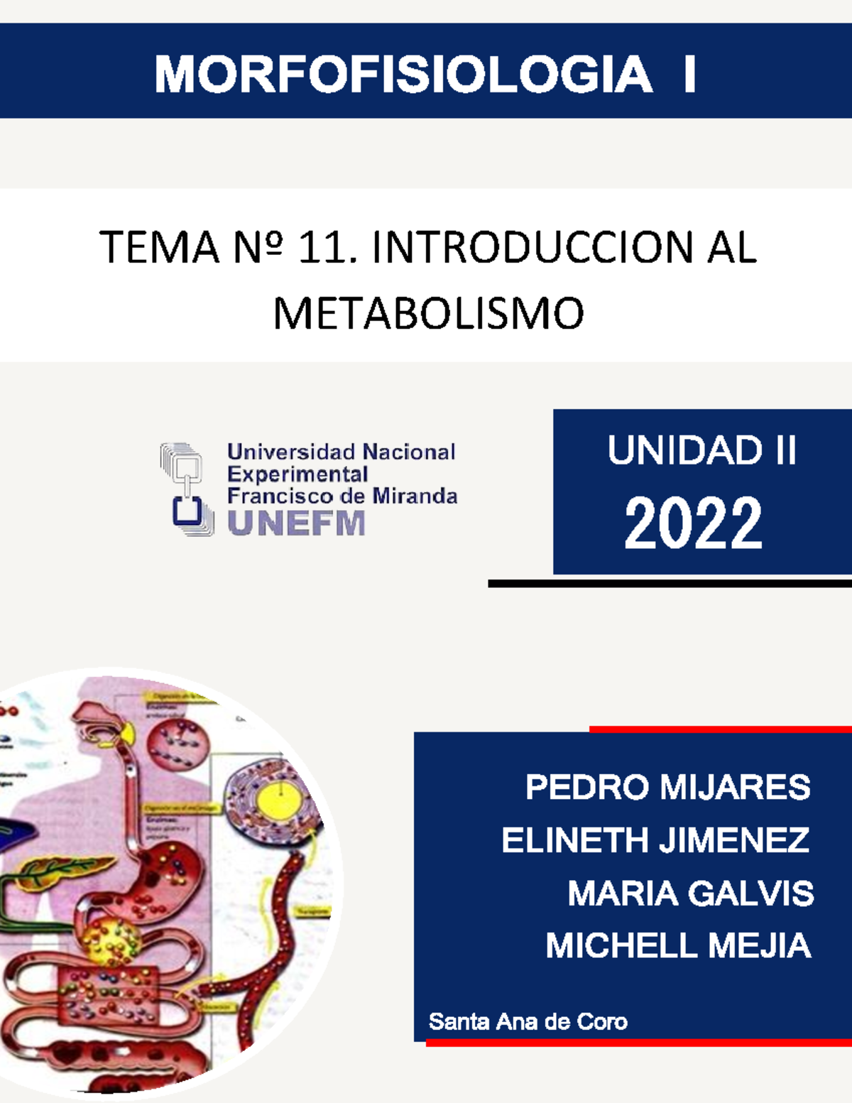 Tema Nº 11 Introduccion Al Metabolismo Tema Nº 11 Introduccion Al Metabolismo Letras Rojas 9547