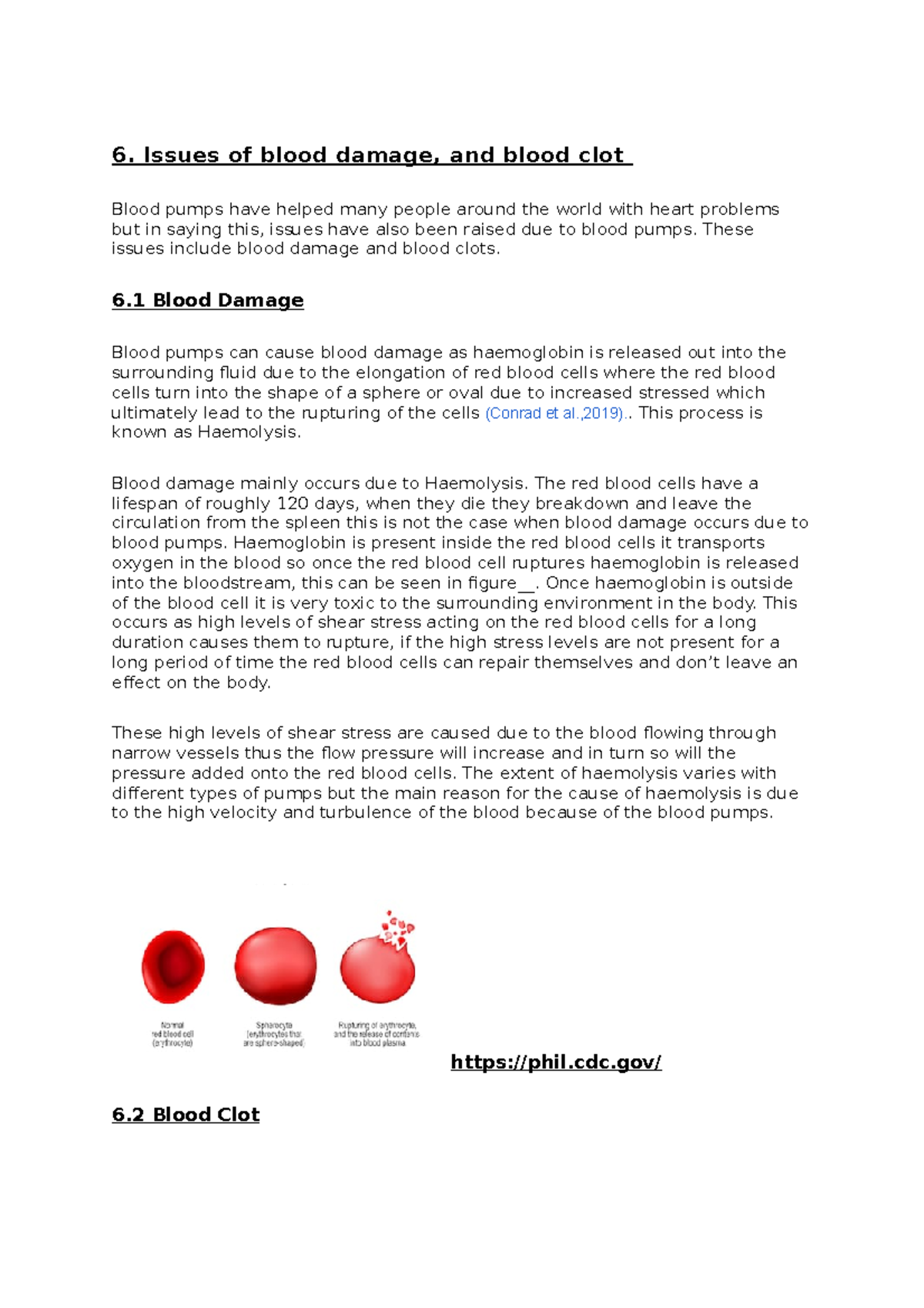 Fluid assignment - 6. Issues of blood damage, and blood clot Blood ...
