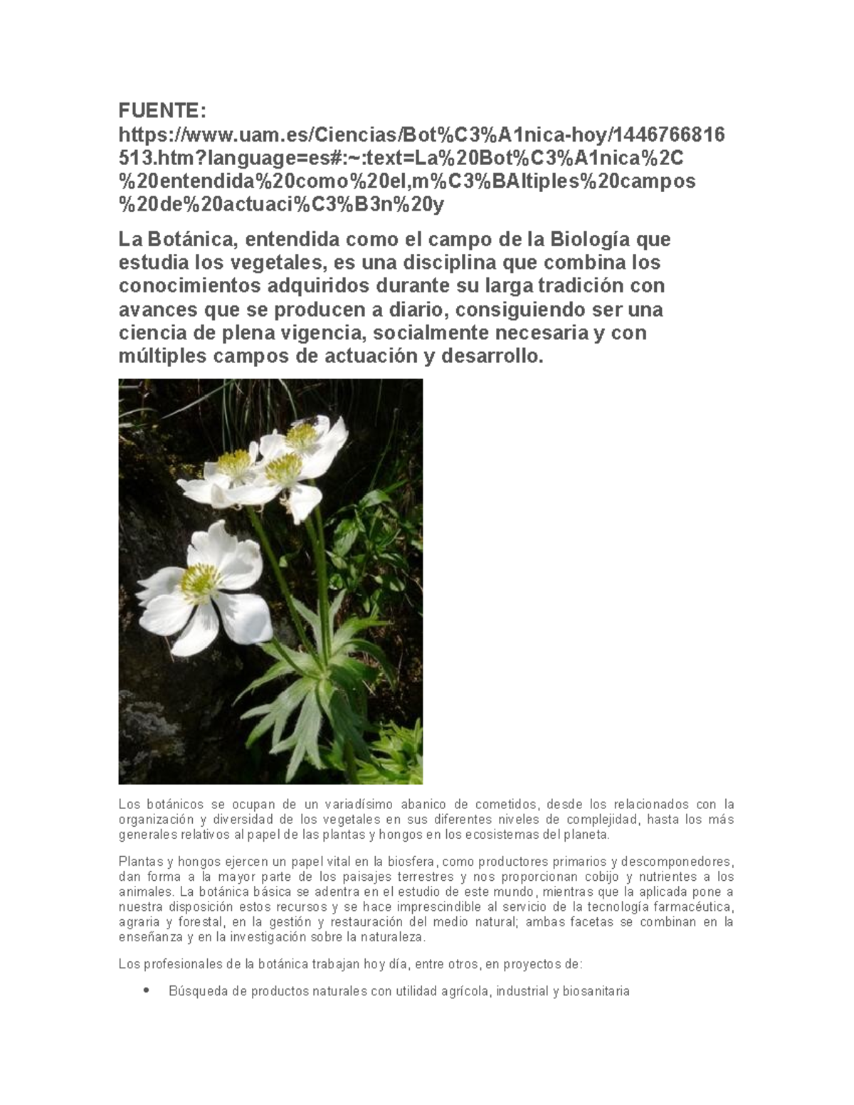 LA Botanica - FUENTE: uam/Ciencias/Bot%C3%A1nica-hoy/ 513?language=es ...