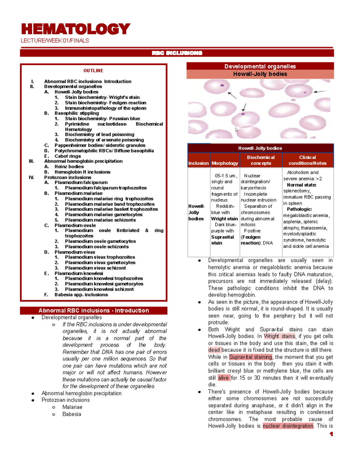 WEEK1 HEMA Lec- Finals - BS Medical Technology - HEMATOLOGY LECTURE ...