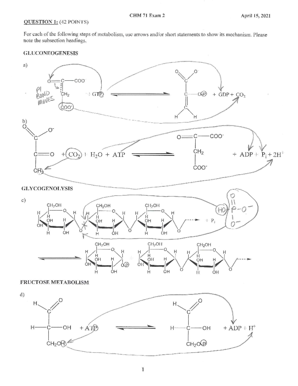 Exam 2 (Key) - biochem - CHM 77 - Studocu
