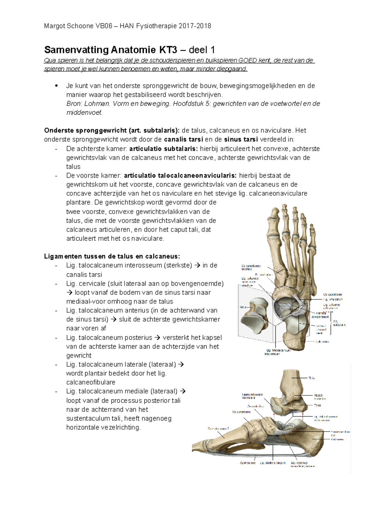 Samenvatting Anatomie KT3 Deel 1 - Samenvatting Anatomie KT3 – Deel 1 ...