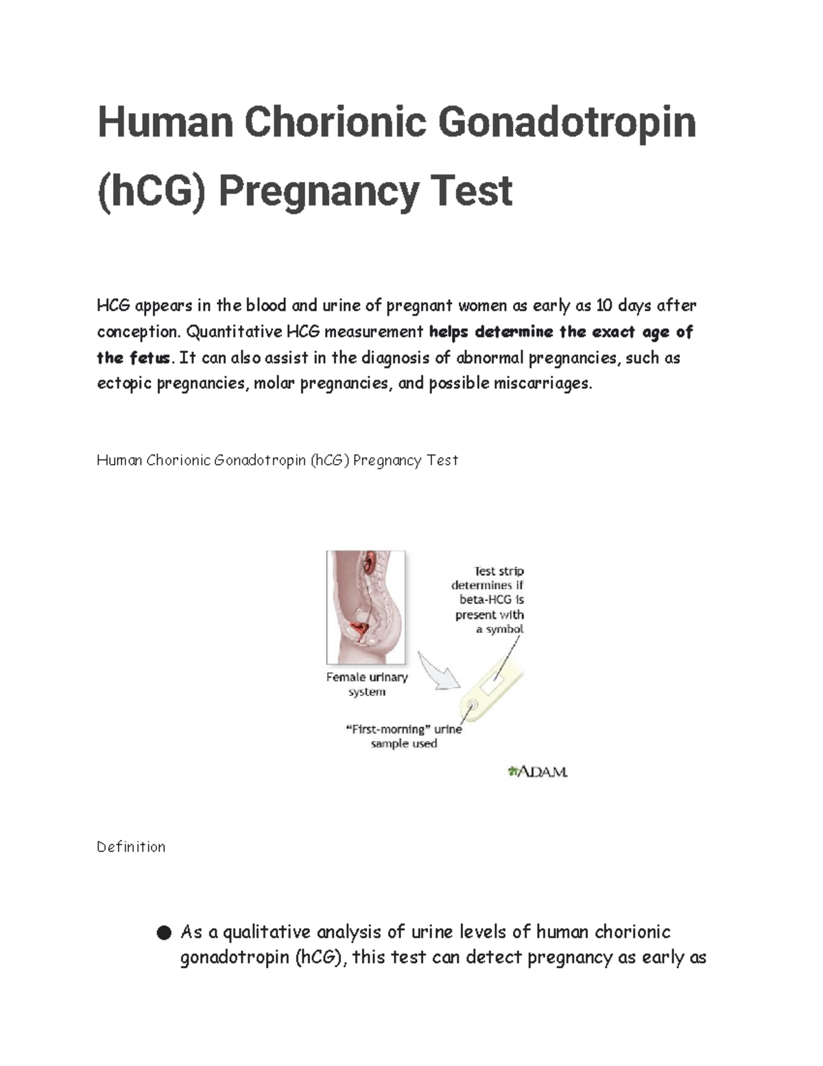 Human Chorionic Gonadotropin h CG Pregnancy Test Human