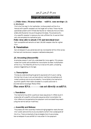 Script - Summary Comparative Anatomy - Lecture Notes on Wind Energy ...