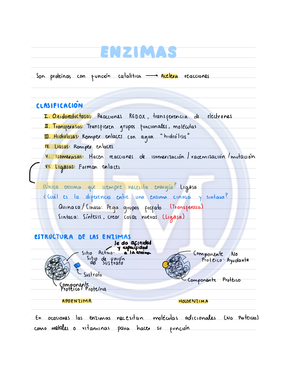 1.10 Enzimas - Bioquímica - Studocu