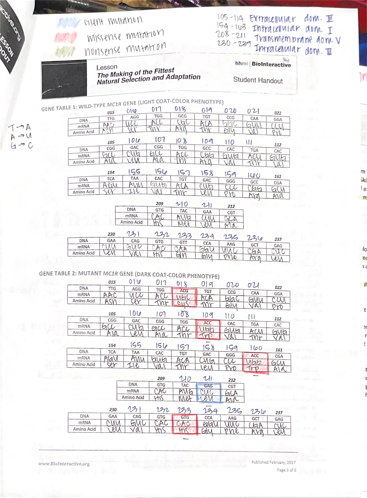 Gene expression lab SCI3218 Studocu