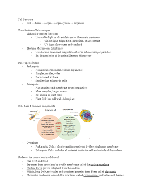 BIO Final 1 cheat sheet - (1) P l e d g e (2) A naked virus only has a ...
