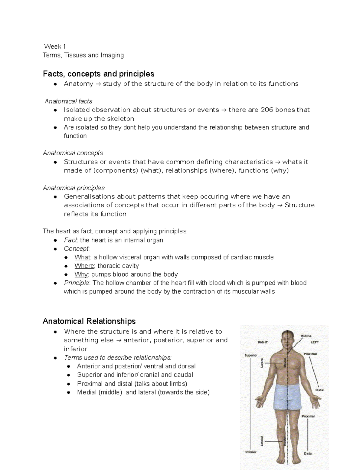 HBB Week 1 - Lecture notes 1 - Week 1 Terms, Tissues and Imaging Facts ...