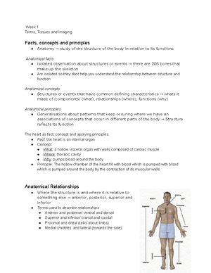 Enquiry 3 HBB - ENQUIRY 3 HBB Regional anatomy Systemic anatomy = Study ...